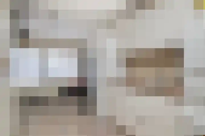 Kamprechter 29 Oss thumbnail 23