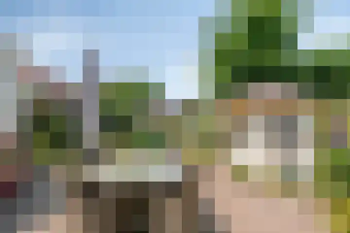 Kamprechter 29 Oss thumbnail 36