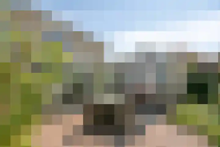 Kamprechter 29 Oss thumbnail 38
