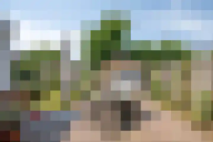 Kamprechter 29 Oss thumbnail 4