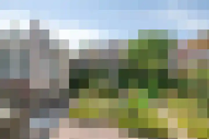 Kamprechter 29 Oss thumbnail 40
