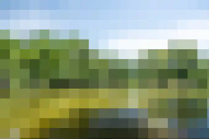 Kamprechter 29 Oss thumbnail 48