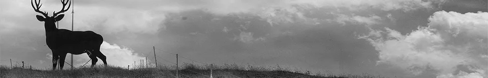 Team foto van Kamps Makelaardij