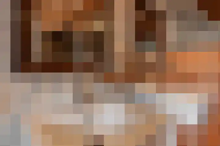 Kampsedijk 22 Enspijk thumbnail 38