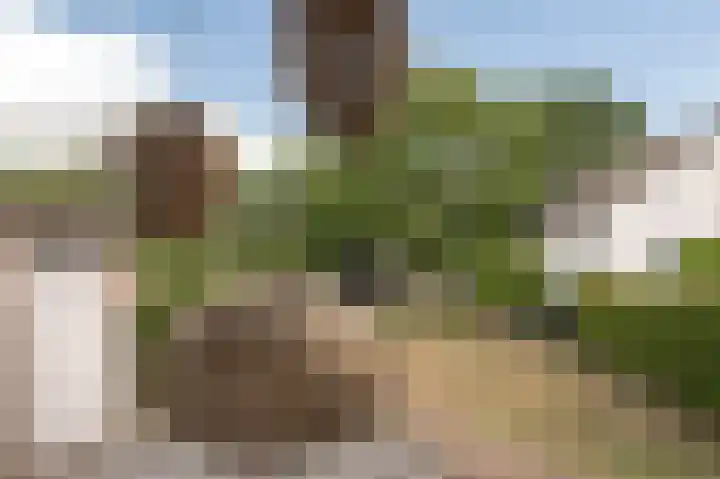 Kampsedijk 22 Enspijk thumbnail 46