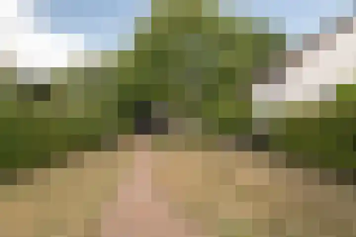 Kampsedijk 22 Enspijk thumbnail 47