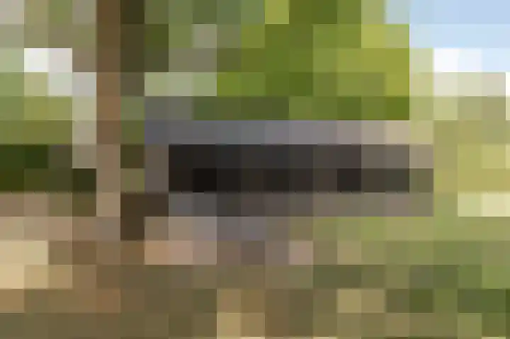 Kampsedijk 22 Enspijk thumbnail 49