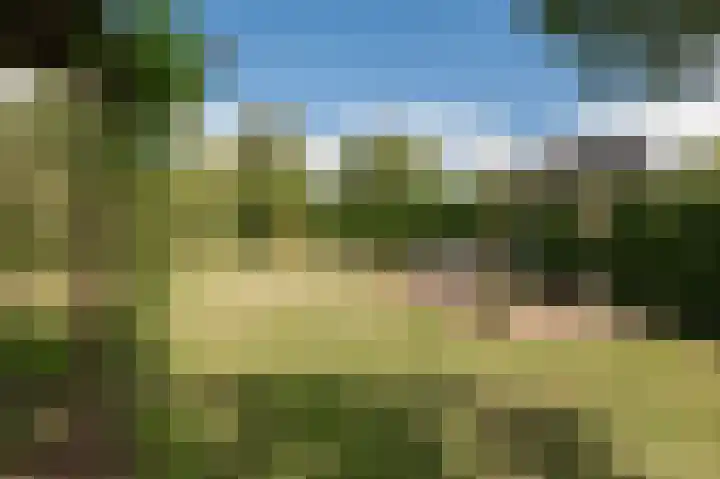 Kampsedijk 22 Enspijk thumbnail 54
