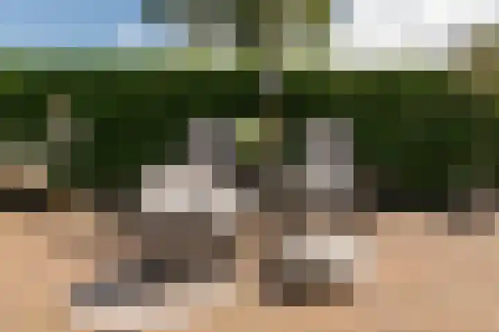 Kampsedijk 22 Enspijk thumbnail 55