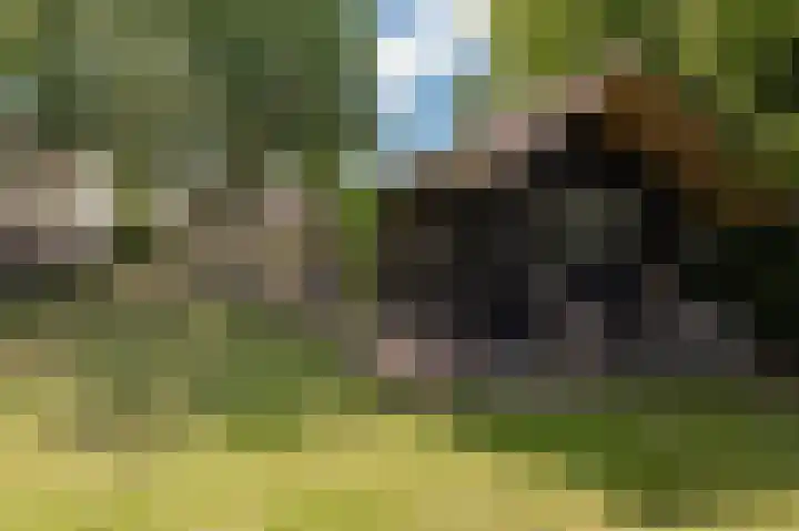 Kampsedijk 22 Enspijk thumbnail 58
