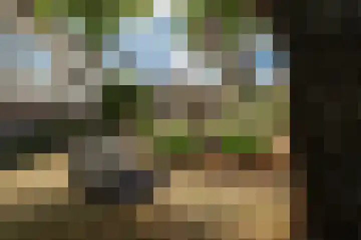 Kampsedijk 22 Enspijk thumbnail 61