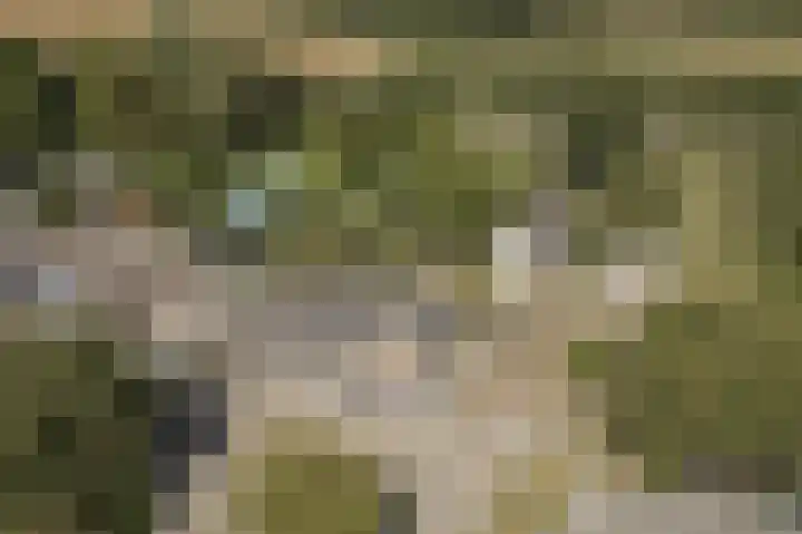 Kampsedijk 22 Enspijk thumbnail 66