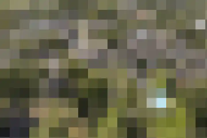 Kampsedijk 22 Enspijk thumbnail 67