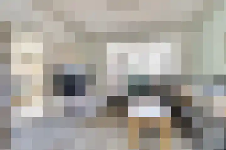 Kampstraat 19 Susteren thumbnail 5
