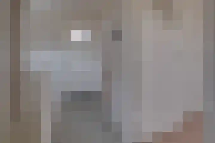 Kampstraat 26 Susteren thumbnail 17