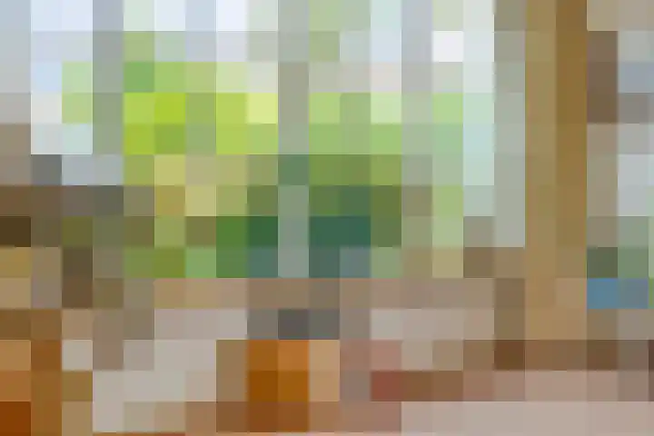 Kampstraat 27 Appeltern thumbnail 13