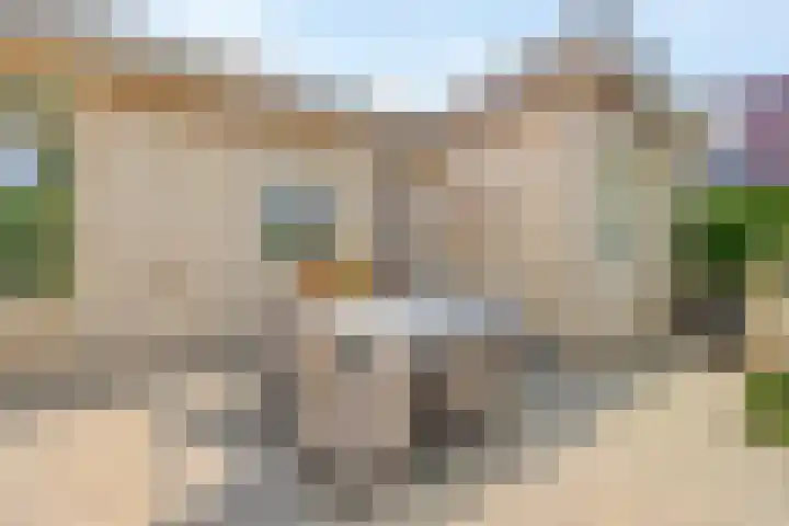 Kampstraat 27 Appeltern thumbnail 34