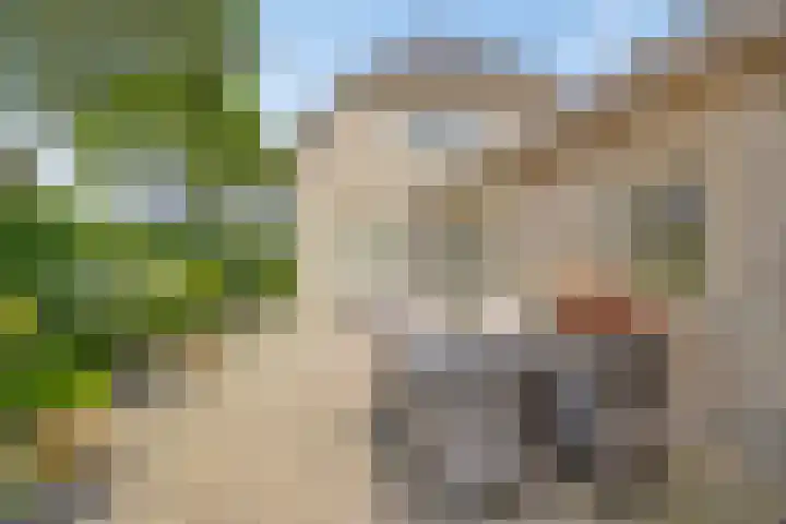 Kampstraat 27 Appeltern thumbnail 4