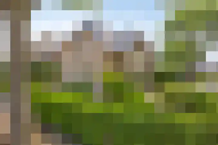 Kampstraat 27 Appeltern thumbnail 6