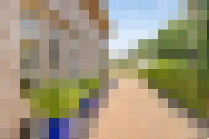 Kampstraat 27 Appeltern thumbnail 9