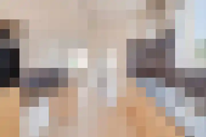 Kampstraat 28 Susteren thumbnail 7