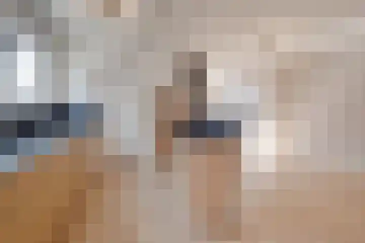 Kampstraat 28 Susteren thumbnail 8