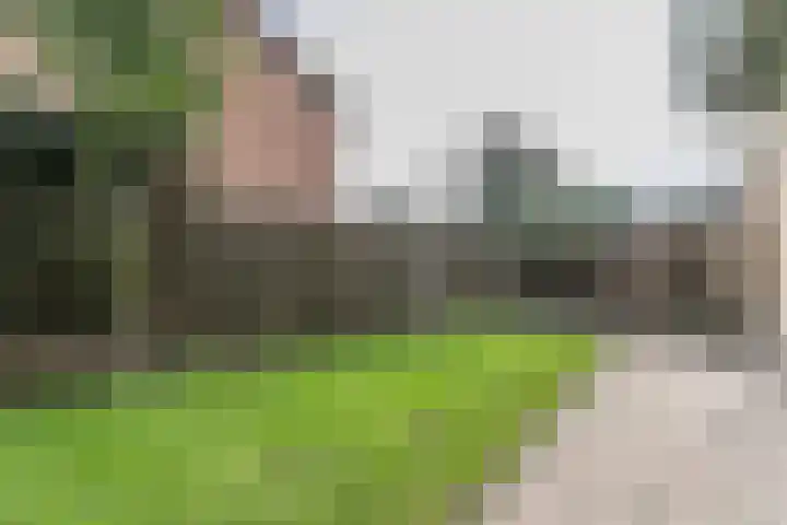 Kampstraat 38 Schinveld thumbnail 39