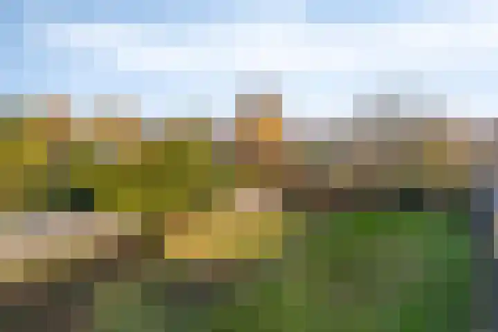 Kampstraat 40 Someren thumbnail 4