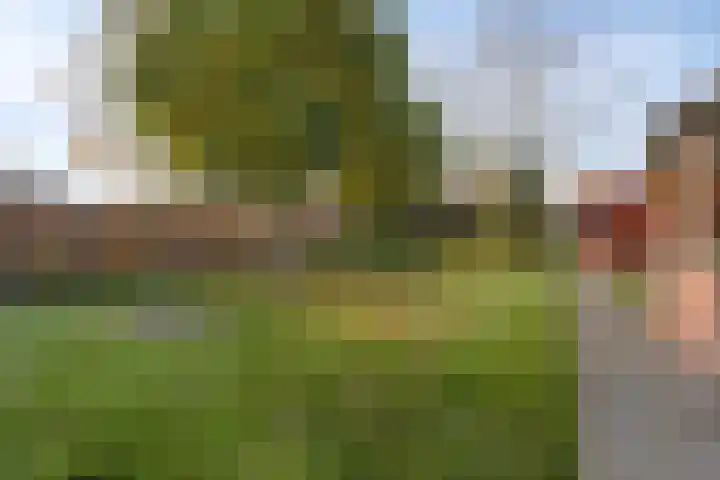 Kampstraat 40 Someren thumbnail 5