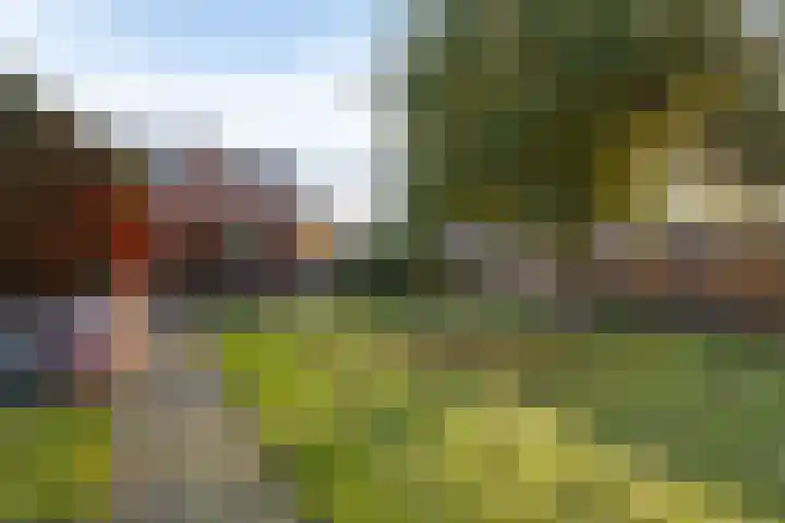 Kampstraat 40 Someren thumbnail 6