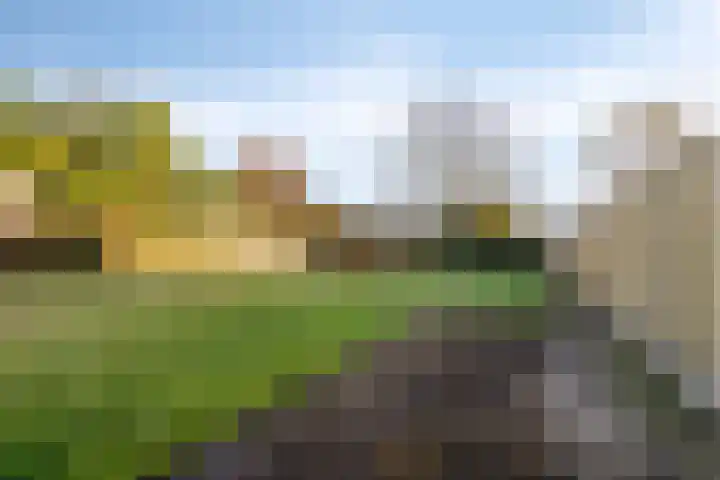 Kampstraat 40 Someren thumbnail 8