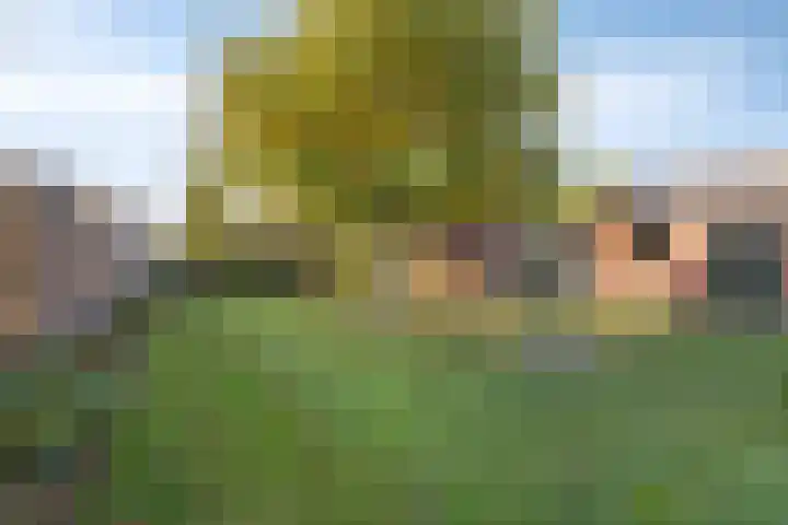 Kampstraat 40 Someren thumbnail 9