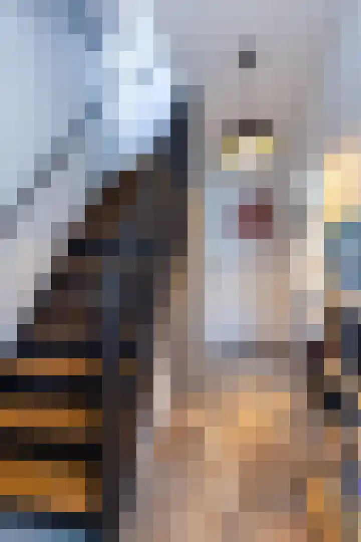 Kampstraat 6 Buchten thumbnail 6