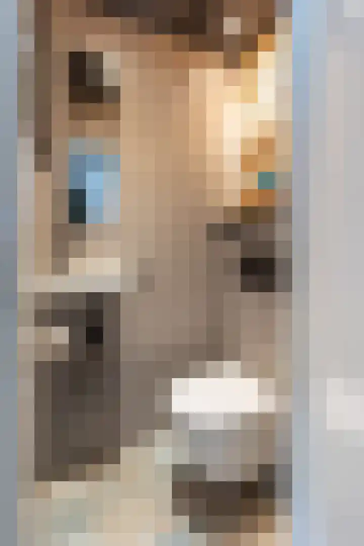 Kampstraat 6 Buchten thumbnail 7