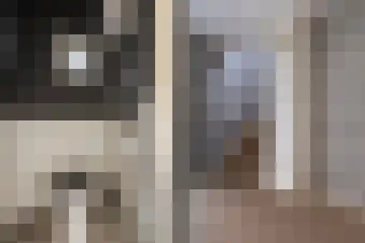 Kampstraat 6 Ede thumbnail 15