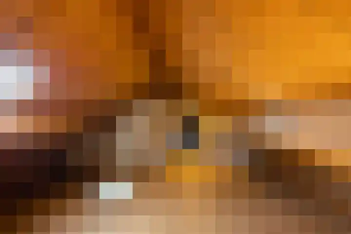 Kampstraat 6 Ede thumbnail 24