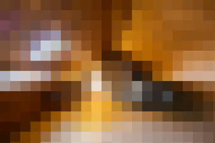 Kampstraat 6 Ede thumbnail 25
