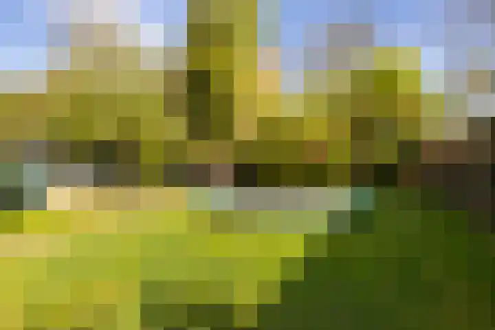 Kampstraat 6 Ede thumbnail 26