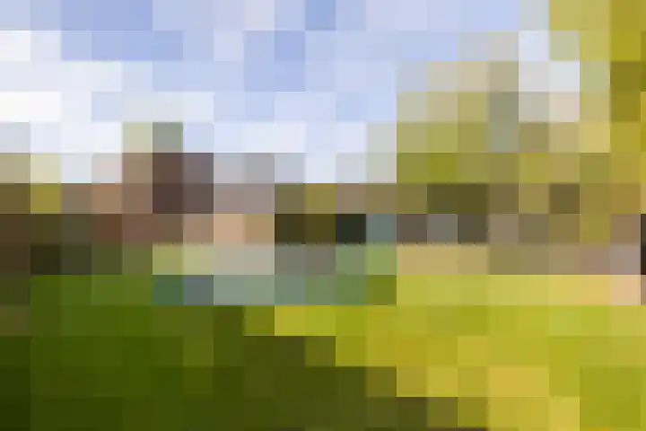 Kampstraat 6 Ede thumbnail 27