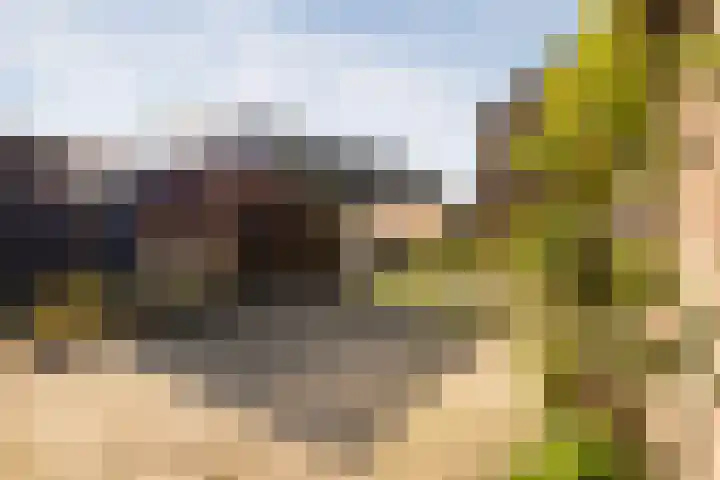 Kampstraat 6 Ede thumbnail 29