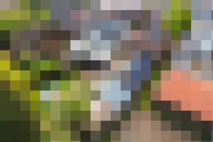 Kampstraat 6 Ede thumbnail 33