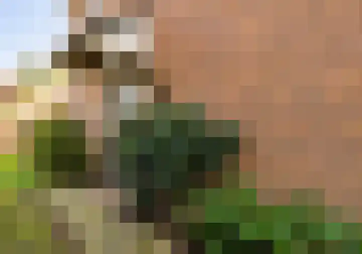 Kampstraat 6 Ede thumbnail 35