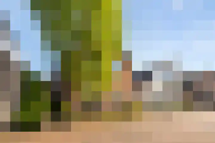 Kampstraat 6 Ede thumbnail 37