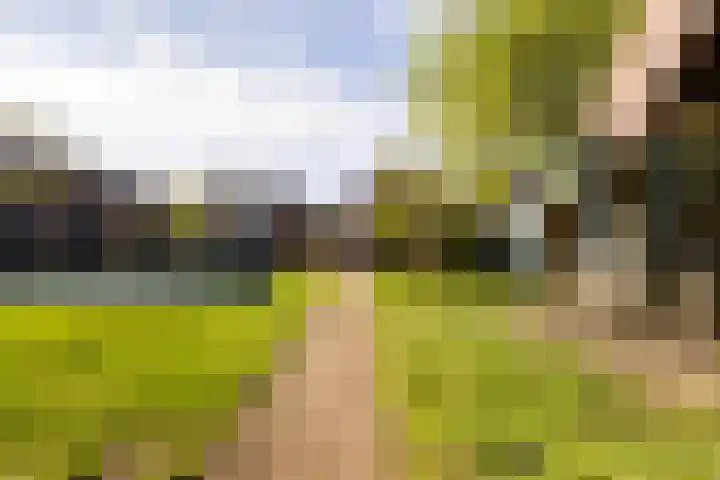 Kampstraat 6 Ede thumbnail 4