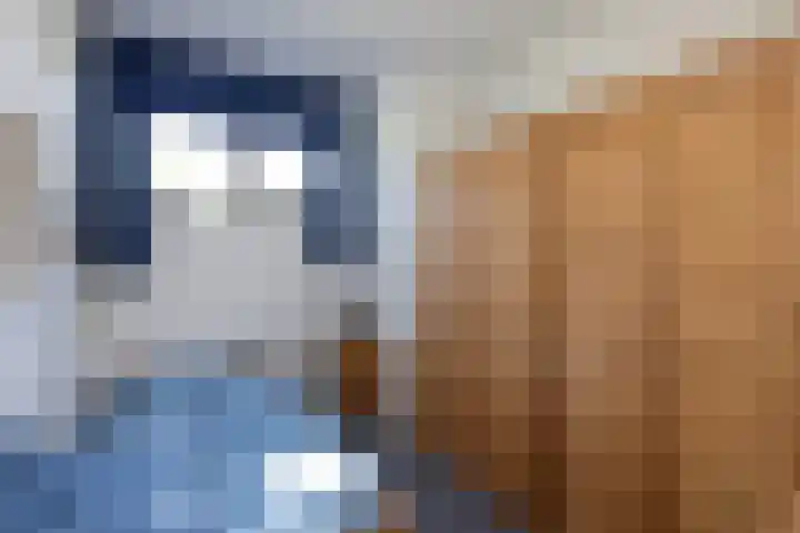 Kampstraat 7 Ootmarsum thumbnail 14