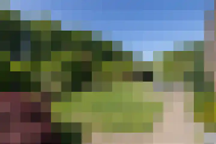 Kampstraat 7 Ootmarsum thumbnail 21