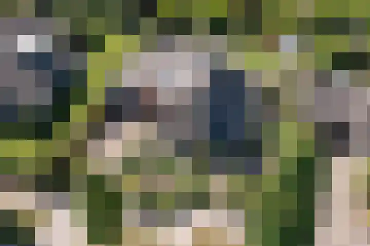 Kampstraat 7 Ootmarsum thumbnail 24