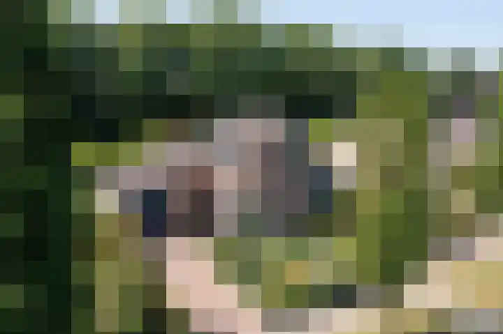 Kampstraat 7 Ootmarsum thumbnail 25