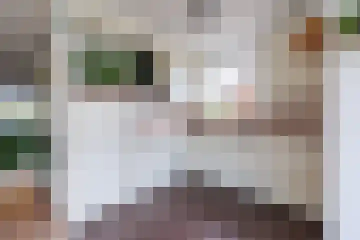 Kampstraat 8 Beilen thumbnail 27
