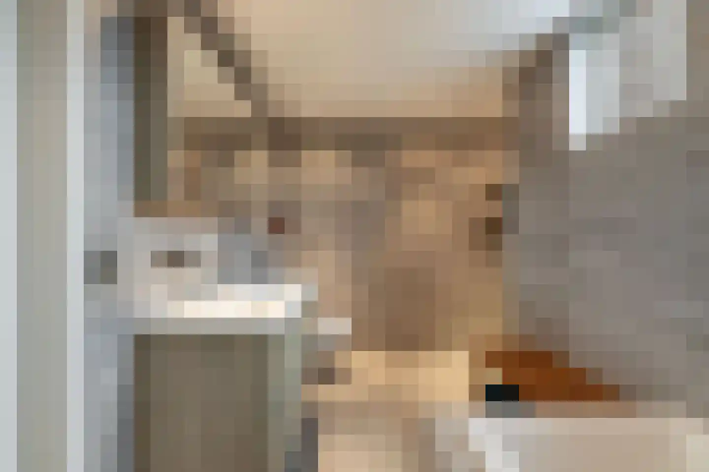 Kampstraat 8 Beilen thumbnail 30